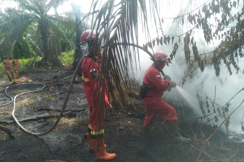 Penanganan karhutla oleh Tim Manggala Agni Balai Dalkarhut Wilayah Sumatra 
