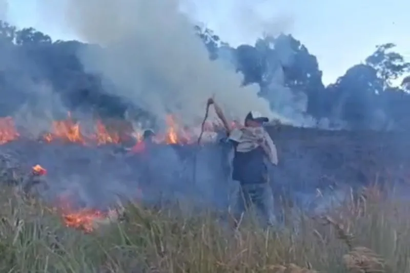 kebakaran di kawasan hutan Gunung Rinjani, Lombok Timur