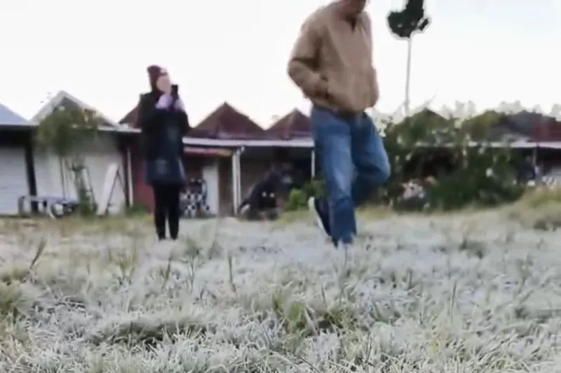 hamparan rumput yang diselimuti embun beku di Dataran Tinggi Dieng