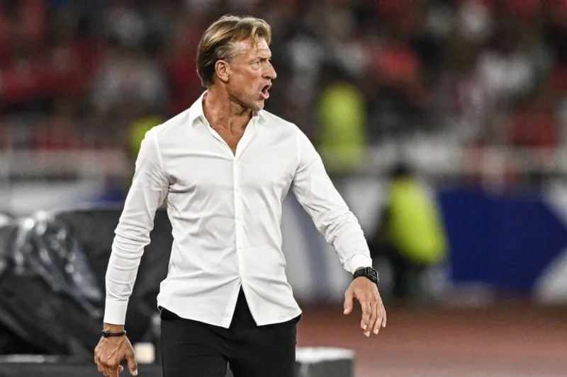Herve Renard saat melatih timnas Arab Saudi