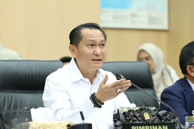 Ketua Komisi XII DPR RI Bambang Patijaya