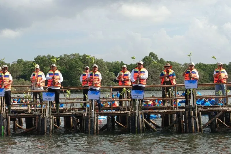 penanaman mangrove di Ekowisata Batu Lumbang, Tahura Ngurah Rai