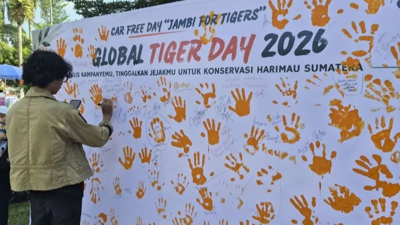 warga Jambi membutuhkan tandatangan dukungan penyelamatan harimau sumatra (panthera tigris sumatrae) 
