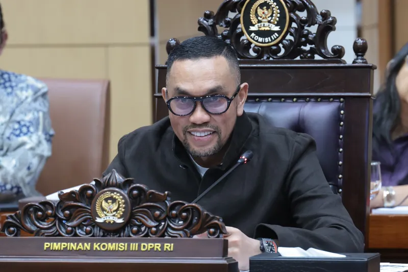Wakil Ketua Komisi III DPR RI, Ahmad Sahroni