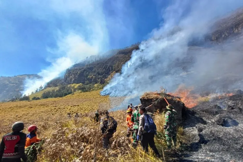 Petugas gabungan memadamkan kobaran api di Bukit Sariwani Gunung Bromo