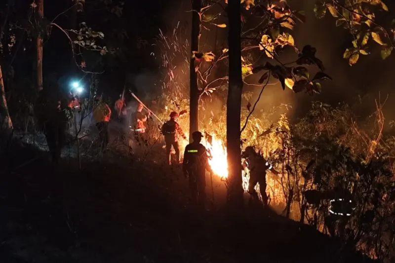 Sejumlah petugas memadamkan kobaran api yang membakar lahan Perhutani di Dusun Pasir Ipis