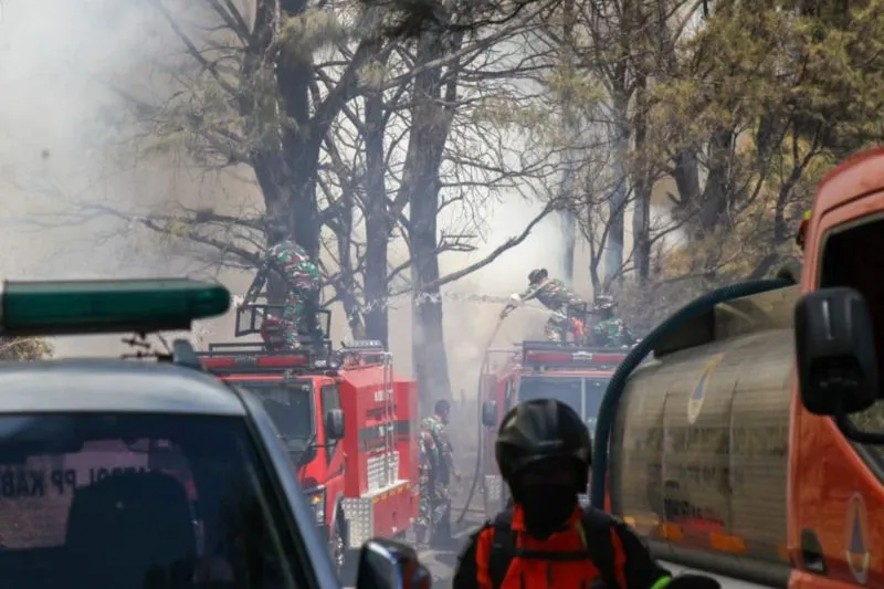 petugas gabungan berjibaku memadamkan api yang membakar hutan dan lahan TNBTS