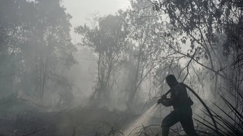 Personel TNI menyemprotkan air saat berupaya memadamkan kebakaran lahan gambut