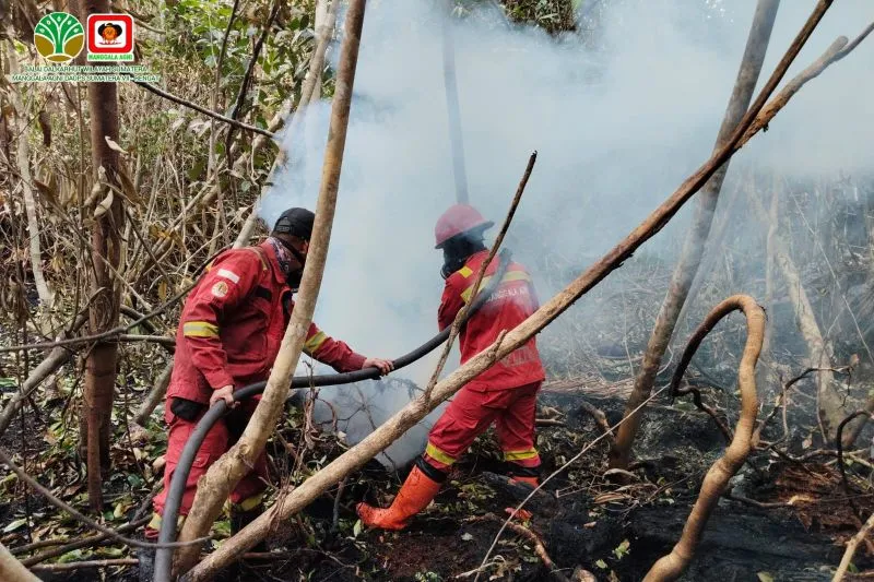 pemadaman kebakaran lahan di Desa Sungai Guntung Hilir Kecamatan Rengat Kabupaten Inderagiri Hulu. 