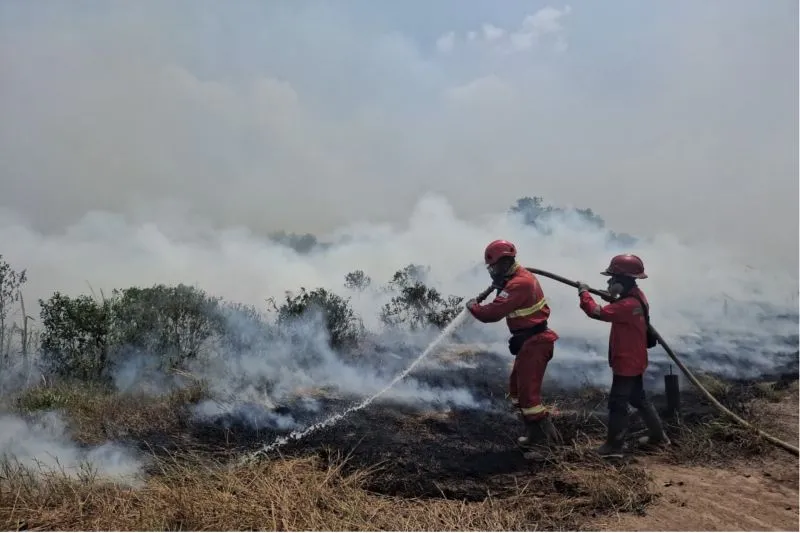 Petugas Manggala Agni Kemenhut melakukan pemadaman karhutla di wilayah Sumatra Selatan