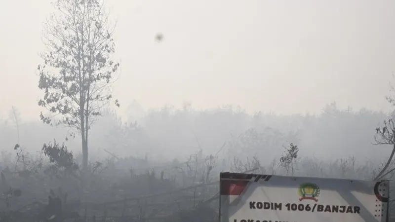 Kabut asap mengepung setelah kebakaran hutan dan lahan (karhutla)