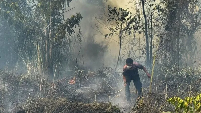 Upaya pemadaman Karhutla di Kabupaten Nabire