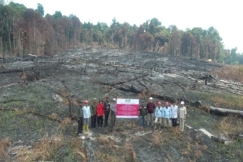 Pembekuan izin perusahaan dan sanksi paksaan pemerintah