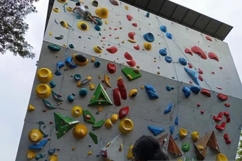 Atlet panjat tebing disiplin lead Indonesia