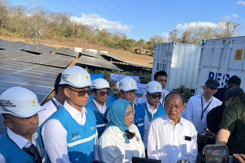Dirjen Energi Baru,Terbarukan, dan Konservasi Energi Kementerian ESDM Eniya Listiani Dewi 