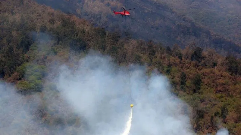 pemadaman kebakaran lahan dan hutan Gunung Arjuno 