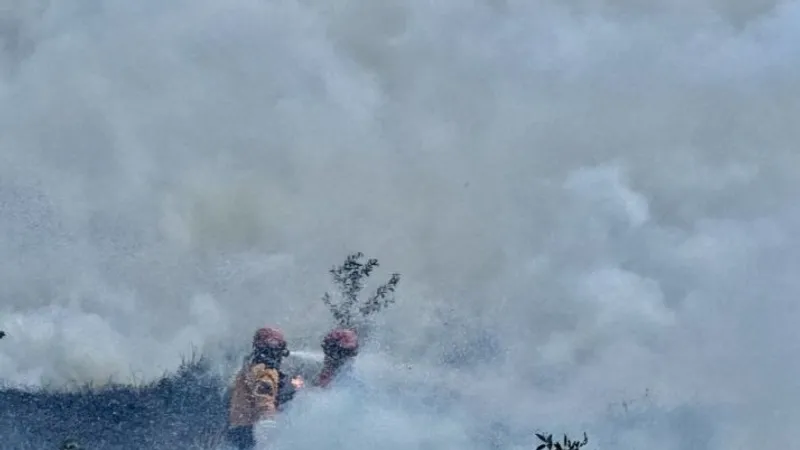 Petugas Balai Besar Taman Nasional Bromo Tengger Semeru (TNBTS) melakukan upaya pemadaman kebakaran 