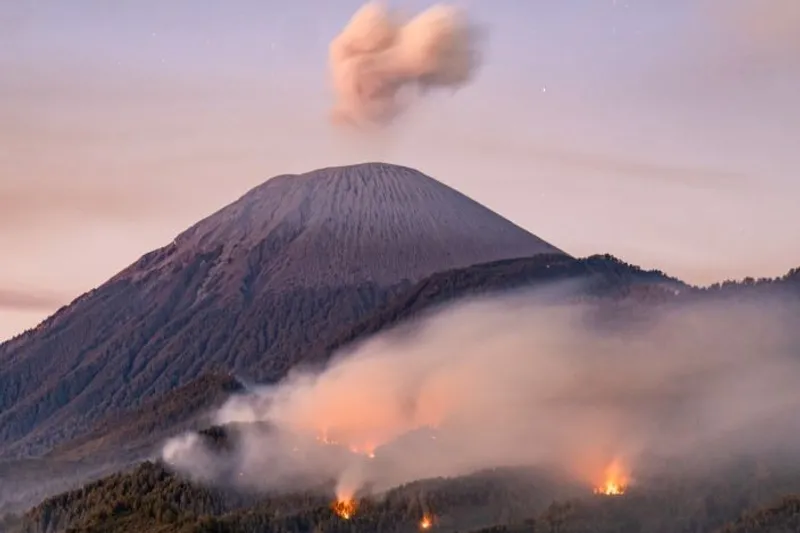 Suasana api membakar kawasan hutan di lereng Gunung Semeru