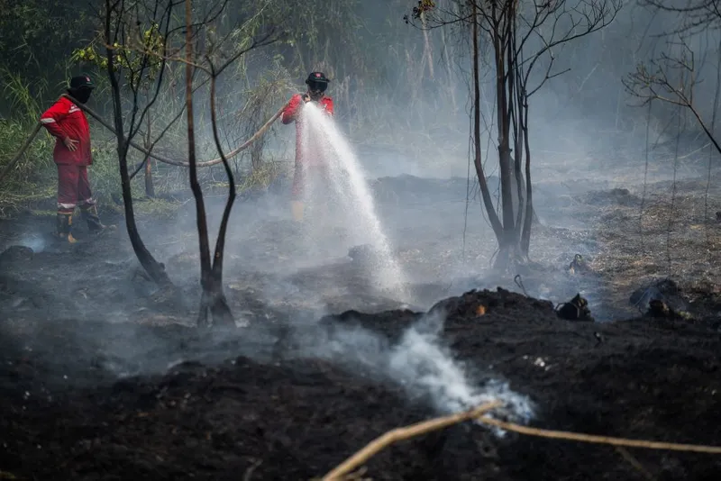 antarafoto-penanganan-karhutla-di-kalimantan-selatan-1788358986-1
