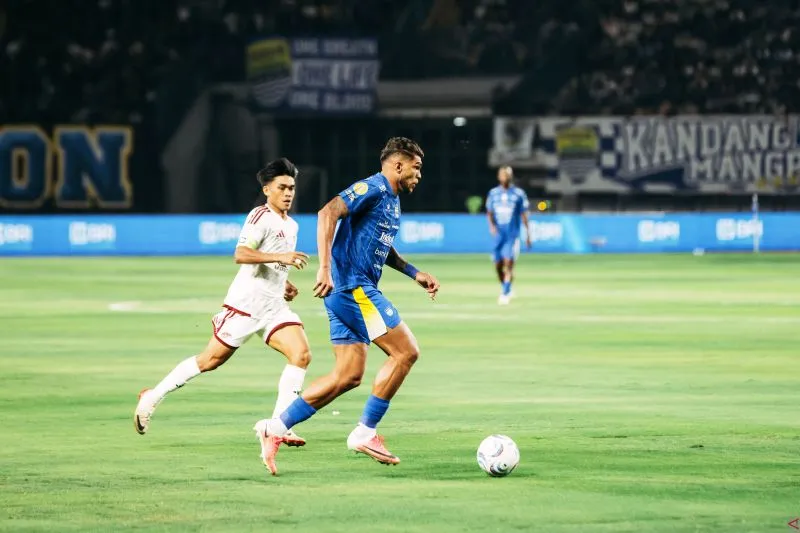 Penyerang Persib Bandung Berguinho 