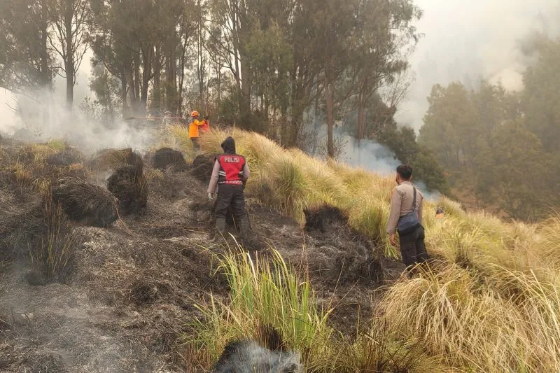 Petugas gabungan memadamkan titik api di Gunung Bromo