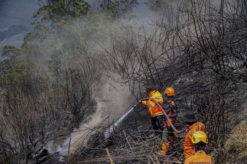 Tim gabungan melakukan pembasahan pada area terdampak kebakaran  di Gunung Bromo