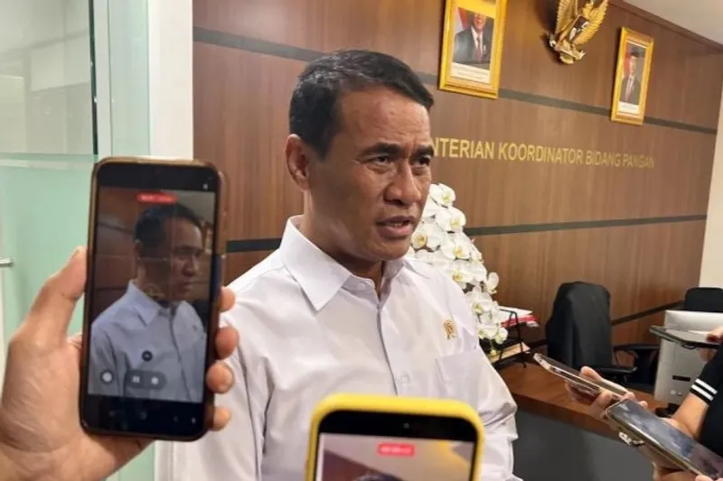 Kepala Badan Pangan Nasional (Bapanas) sekaligus Menteri Pertanian Andi Amran Sulaiman
