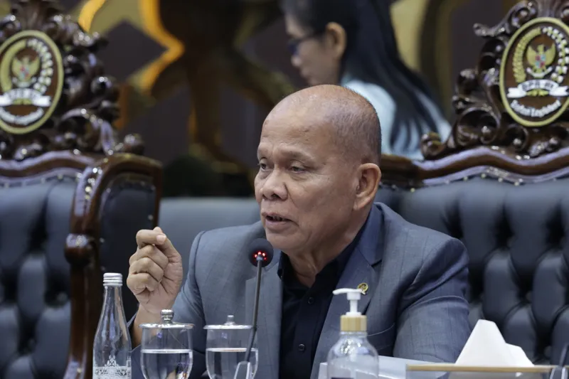 Wakil Ketua Baleg Ketua Panja Pembahasan RUU tentang SDI, Sturman Panjaitan