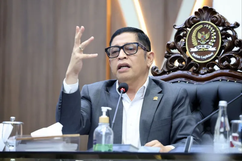 Ketua Badan Legislasi (Baleg) DPR RI, Bob Hasan, 