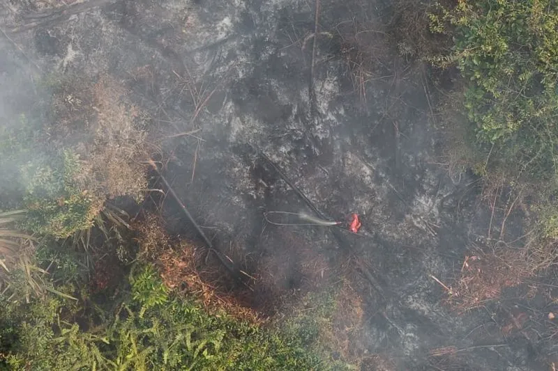 personel Manggala Agni melakukan upaya pemadaman kebakaran hutan