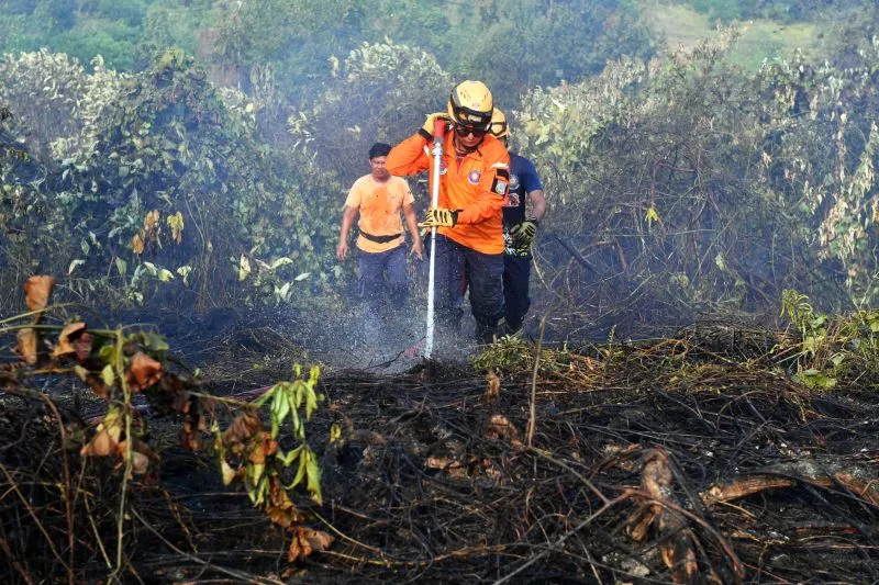 Petugas BPBD melakukan proses pendinginan saat terjadi kebakaran lahan