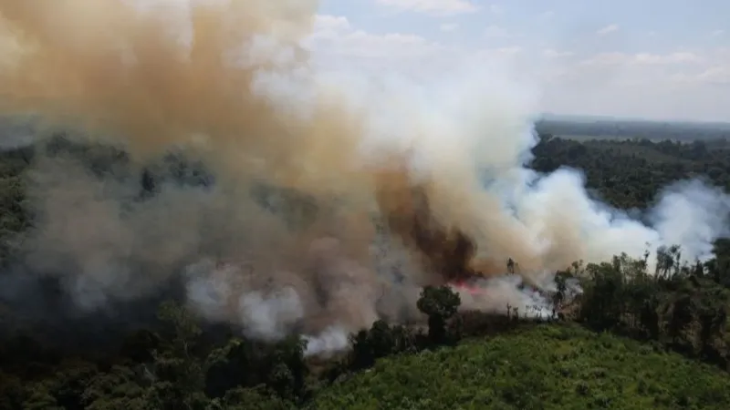 Kebakaran hutan dan lahan yang terjadi di Kabupaten Kubu Raya