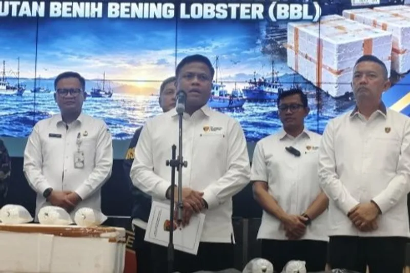 1000093217aDirektur Tindak Pidana Tertentu (Dirtipidter) Bareskrim Polri Brigjen Pol. Moh. Irhamni 