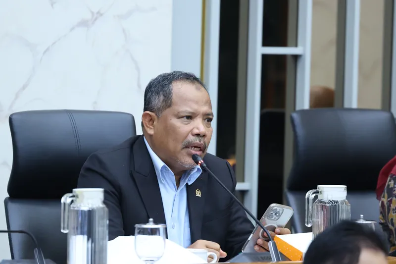 Anggota Komisi IV DPR RI Johan Rosihan