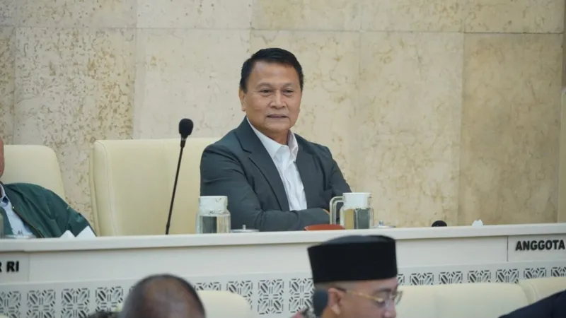 Anggota Dewan Perwakilan Rakyat (DPR) Mardani Ali Sera