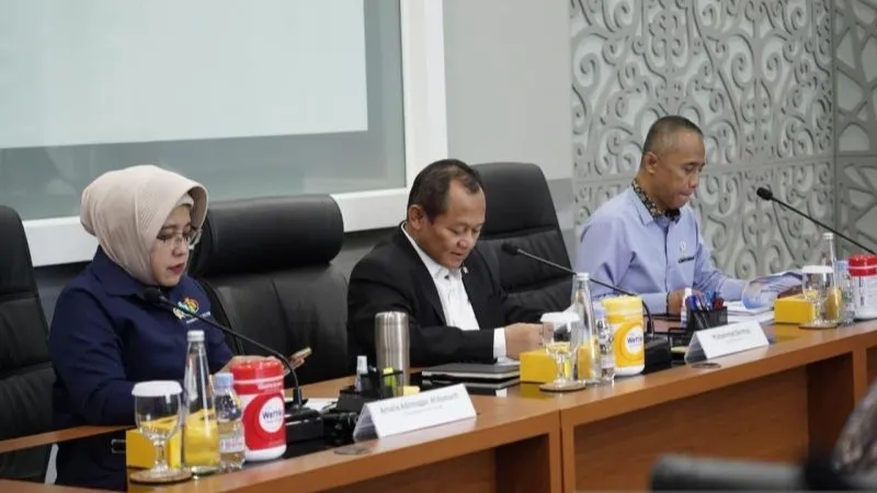 Wakil Menteri Koordinator Bidang Perekonomian Dradjad Hari Wibowo 