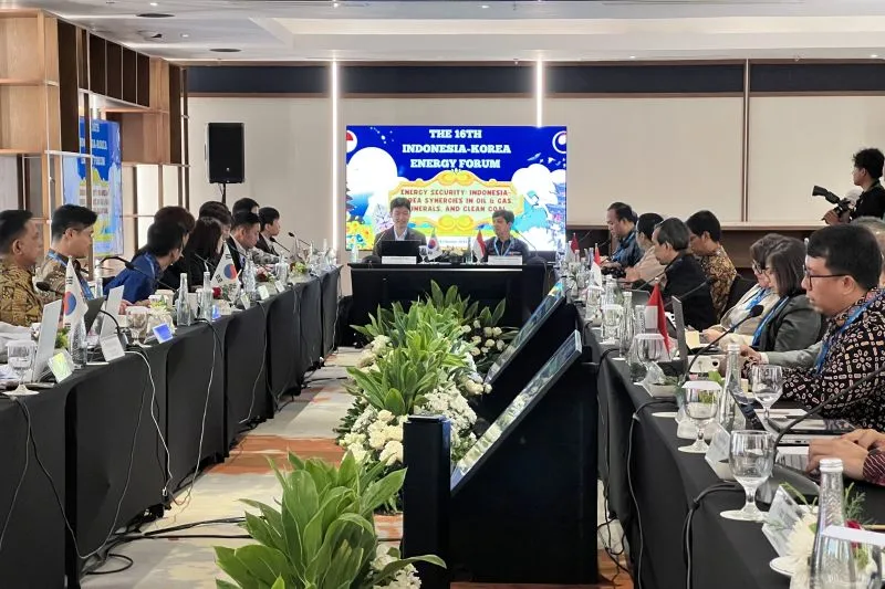 Suasana Indonesia-Korea Energy Forum (IKEF) 