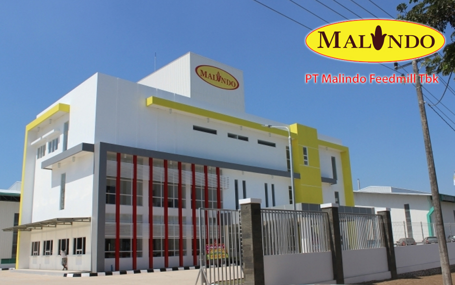 malindo02