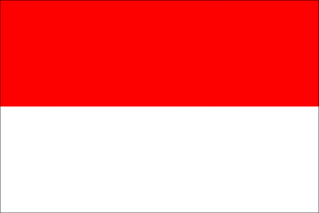 Timnas U-19