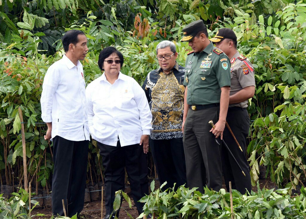 Jokowi-Citarum