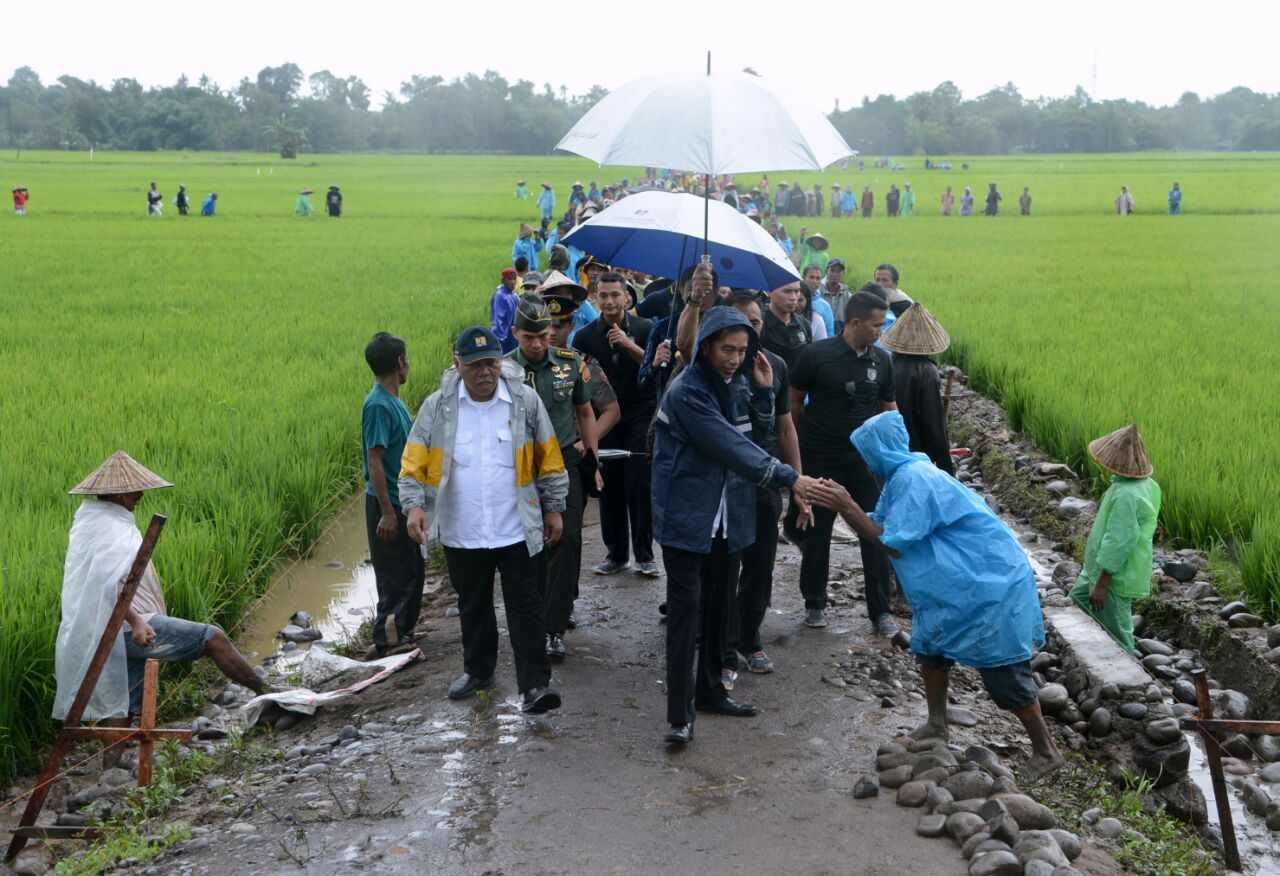 Gunakan Jas Hujan, Presiden Tinjau Program Padat Karya Tunai di Gowa