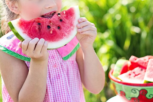 watermelon-846357__340