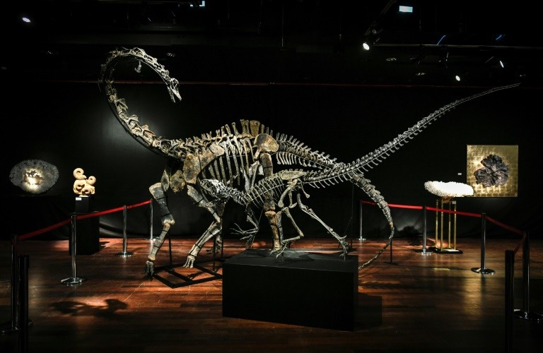 Kamu Harus Mengunjungi Tempat Ini Jika Ingin Membeli Dinosaurus