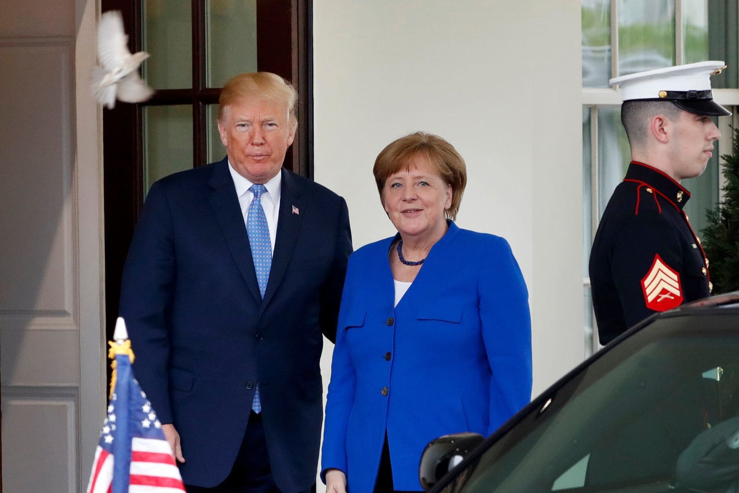 trump merkel