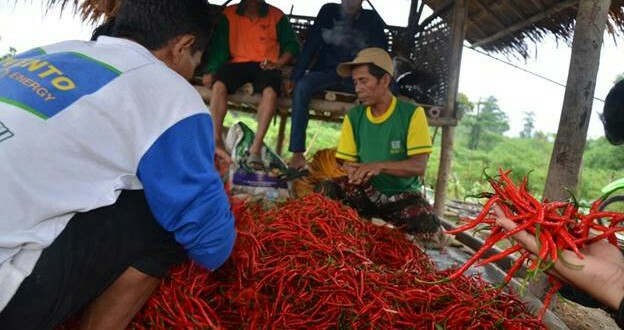 dok-kemetan-ivoox.id_