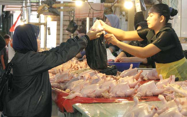 pedagang-ayam-harus-bersertifikasi-halal