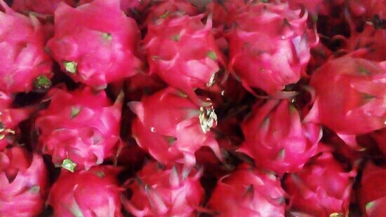 Buah-Naga-ivoox.id_