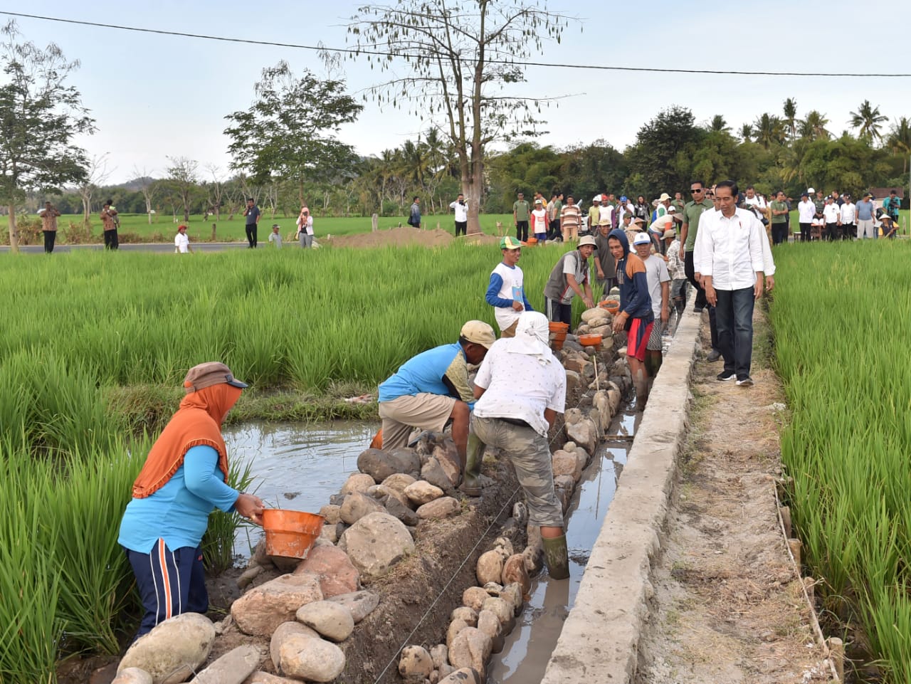 Kunjungi Sumbawa, Presiden Meninjau Pelaksanaan Program Padat Karya