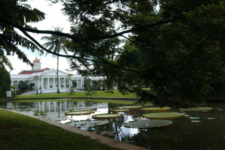 kebun raya bogor