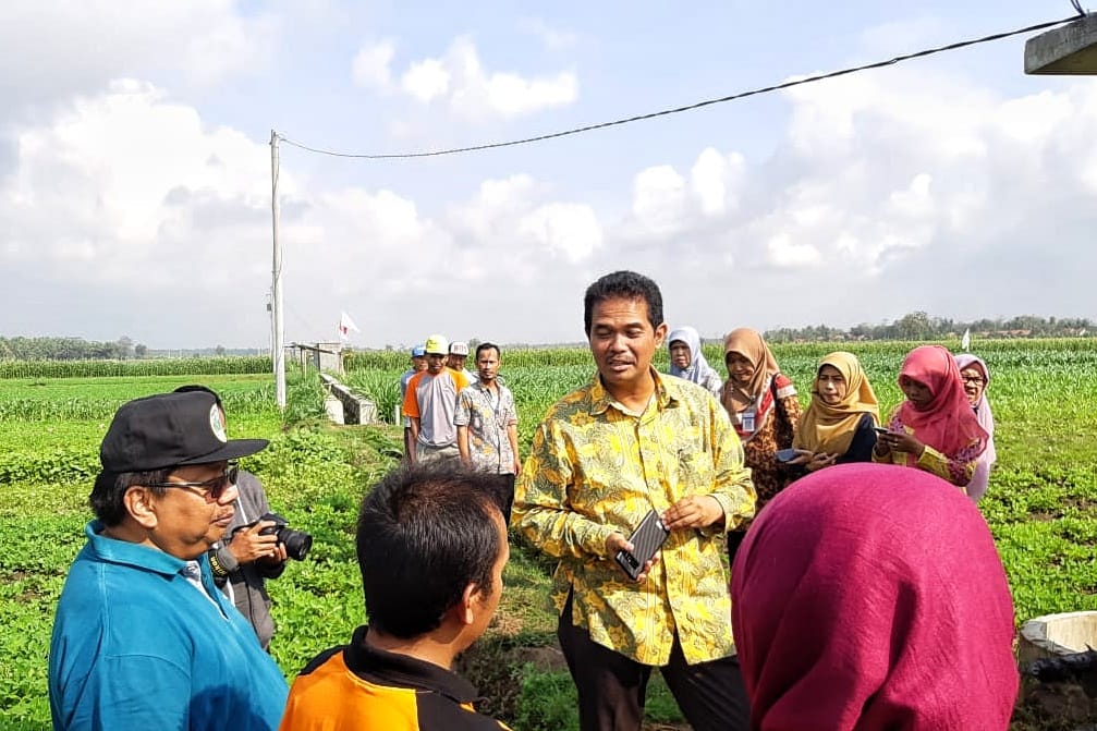Menghemat Biaya Hingga 65% Saat Musim Kering, Ini yang Dilakukan Petani